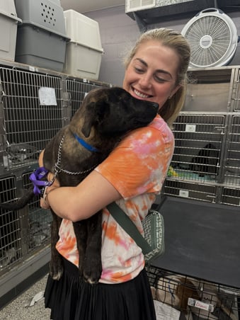 Adcom employee holding a large dog