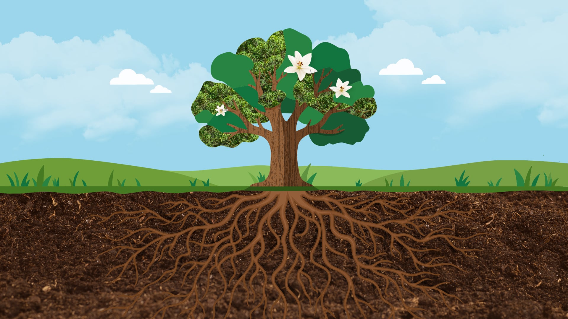 How to Modernize a Legacy Brand Without Losing Trust