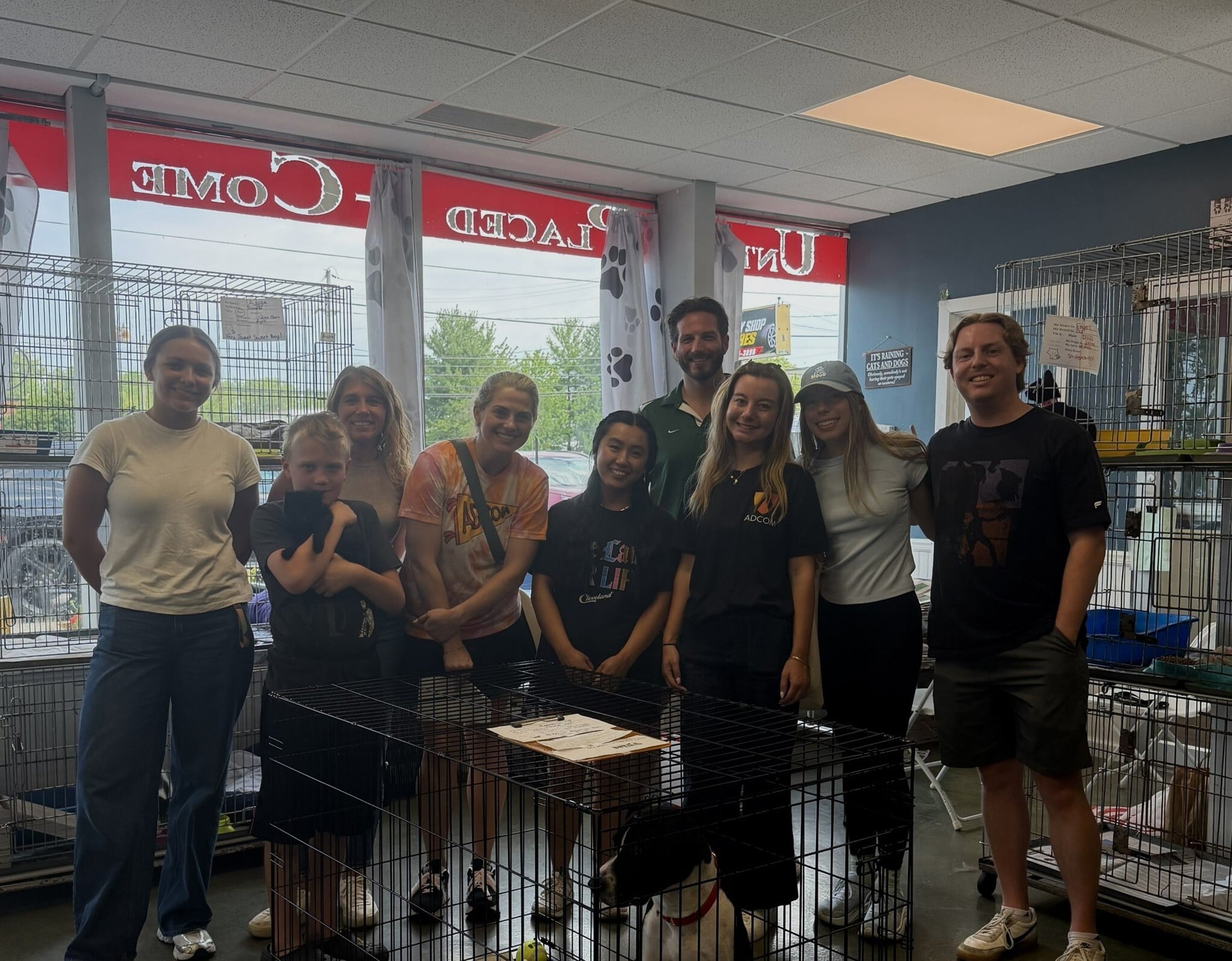 Sit. Stay. Getting to Know the World Behind Embrace Pet Insurance