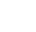 Professional-Icon